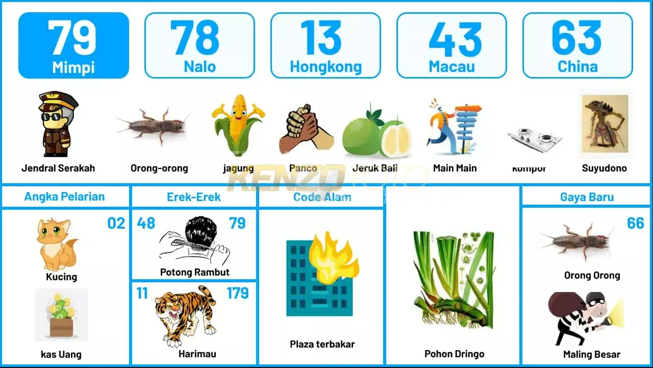 buku mimpi erek erek togel 79